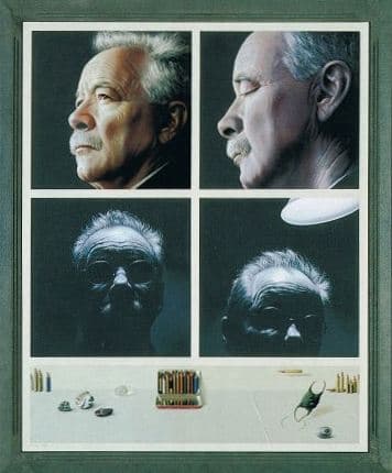 W.G. Sebald, destrucción y melancolía